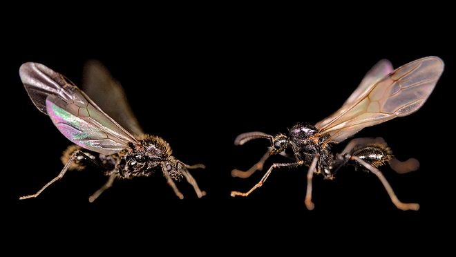 _20250903_on_flies