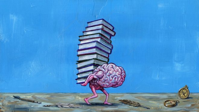 Brain BOOK feature