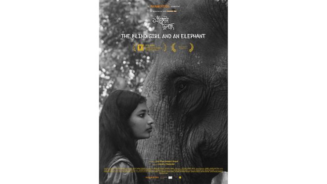 The Blind Girl and The Elephant