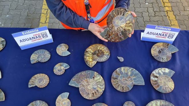 chile_seized_fossil_shipment