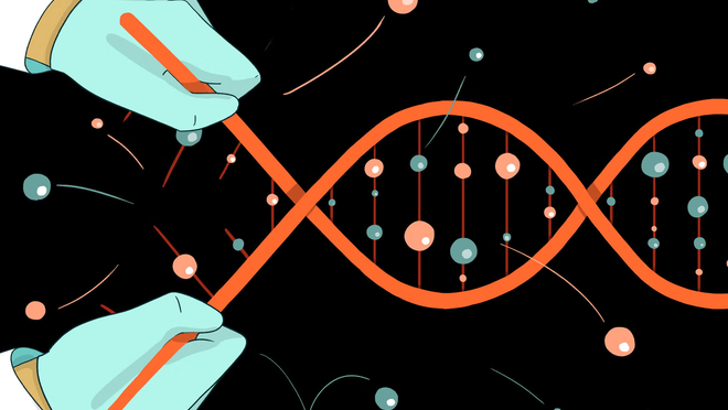 DNA